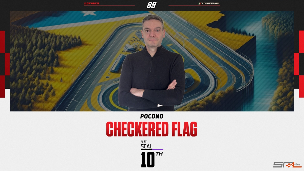 Checkered Flag, Fabio Scali