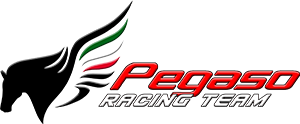 Pegaso Team Racing